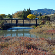 (c) Marin County Parks
